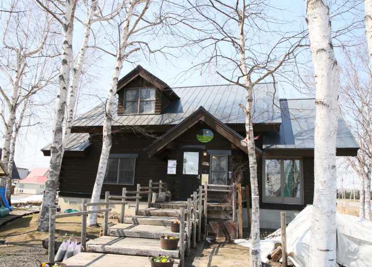 美瑛　木のいい仲間