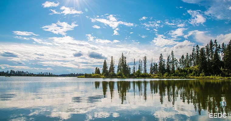 野生動物ウォッチング