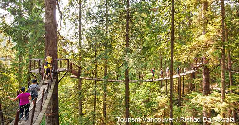 Capilano Suspension Bridge