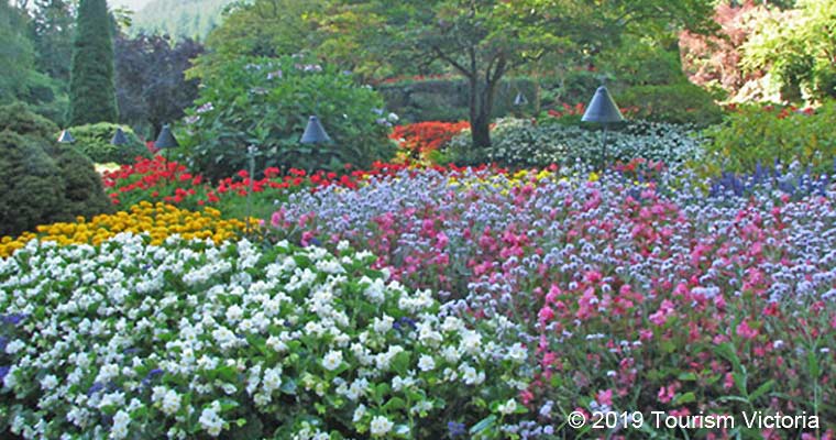 Butchart Gardens / ブッチャートガーデン