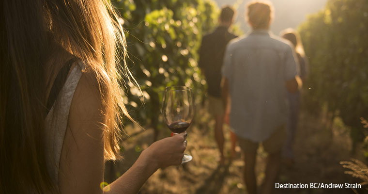 Okanagan winery / オカナガンワイナリー(ワイン)