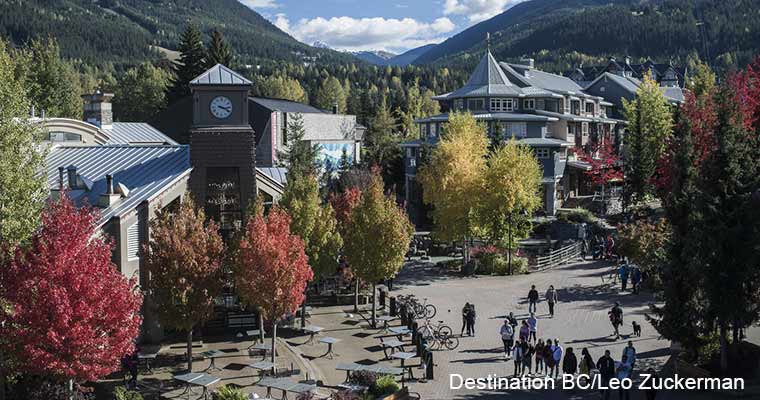 Whistler / ウィスラー