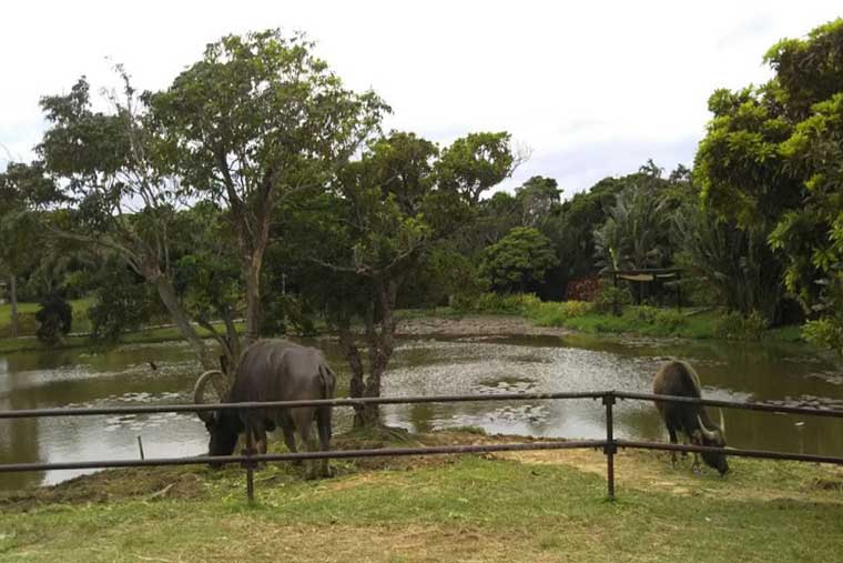 シリーズ「がん患者さんが見つけた旅の喜び」　はいむるぶし