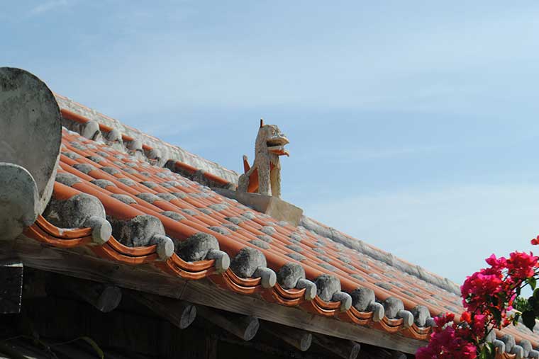 シリーズ「がん患者さんが見つけた旅の喜び」　竹富島