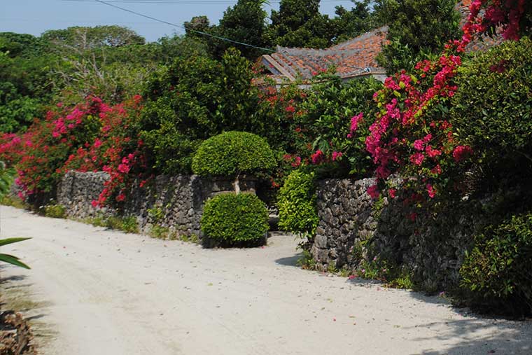 シリーズ「がん患者さんが見つけた旅の喜び」　竹富島