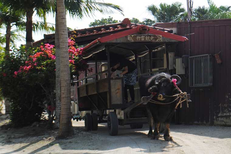 シリーズ「がん患者さんが見つけた旅の喜び」　竹富島