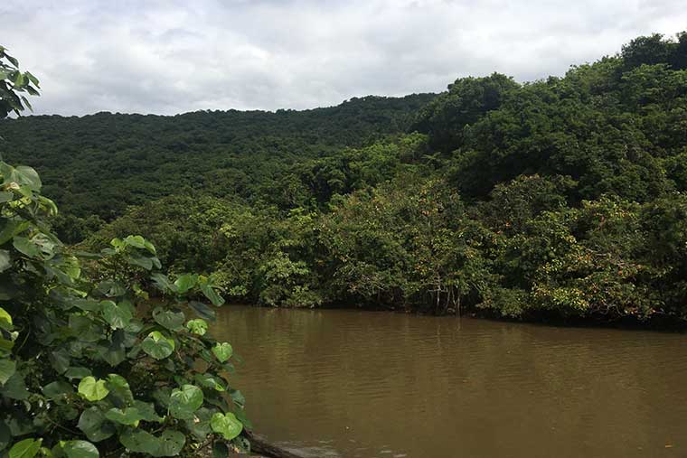シリーズ「がん患者さんが見つけた旅の喜び」　西表島