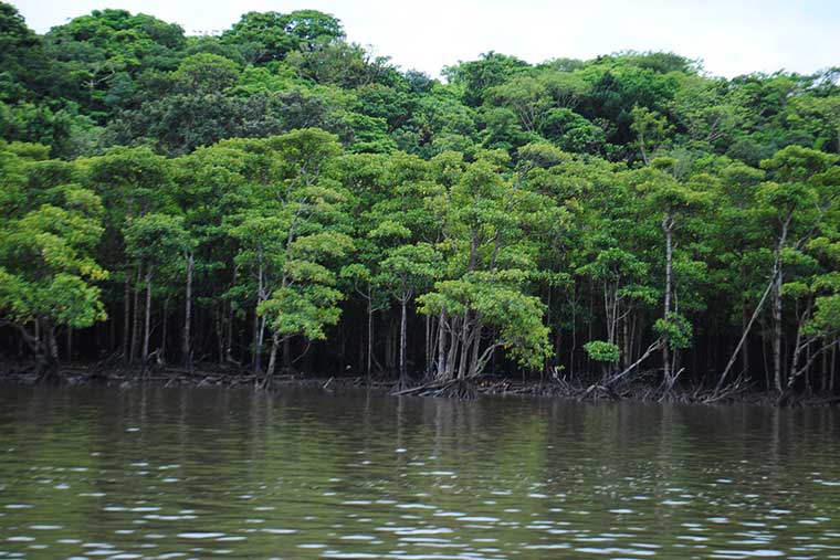シリーズ「がん患者さんが見つけた旅の喜び」　西表島