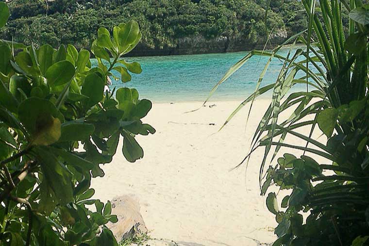 シリーズ「がん患者さんが見つけた旅の喜び」　石垣島