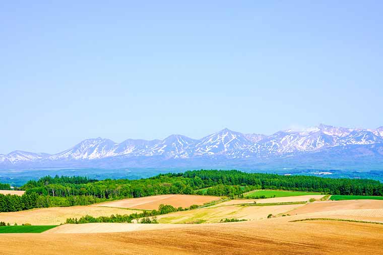 シリーズ「がん患者さんが見つけた旅の喜び」