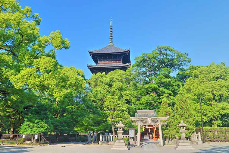 シリーズ「がん患者さんが見つけた旅の喜び」　東寺