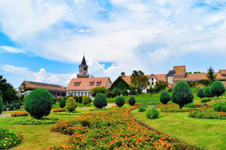 ハイジの村 花畑
