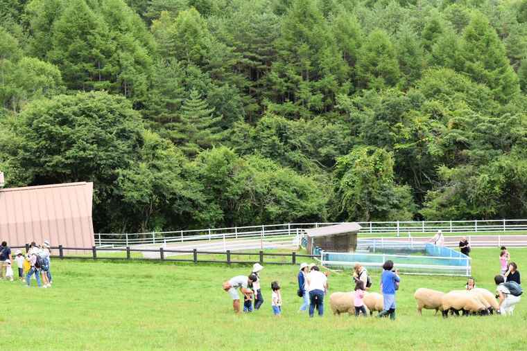 山梨県立まきば公園