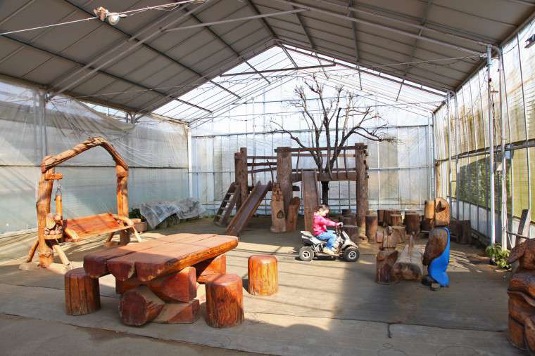 エーアト・ベーレのミニアスレチック