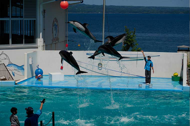 のとじま水族館