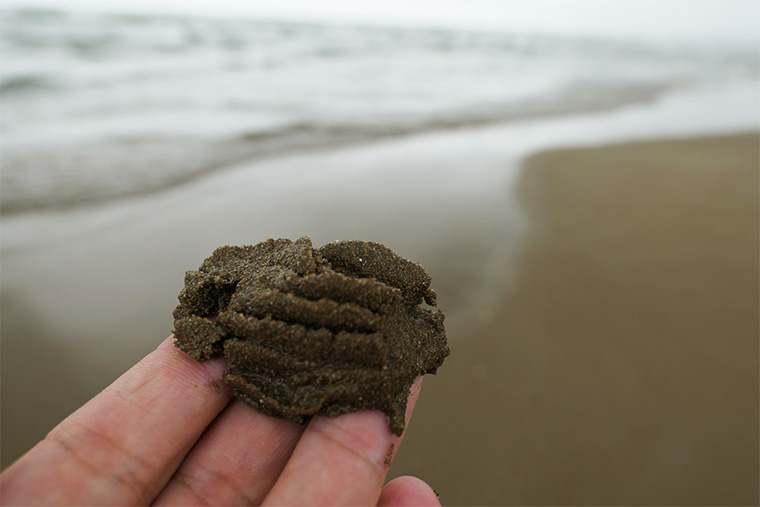 千里浜なぎさドライブウェイの砂