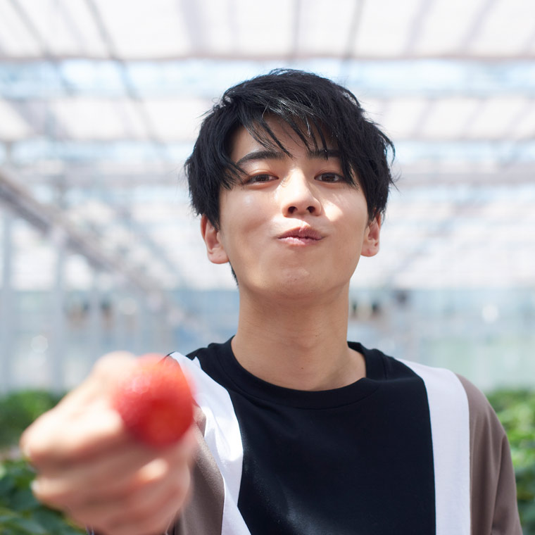 東京ストロベリーパークでイチゴ狩り