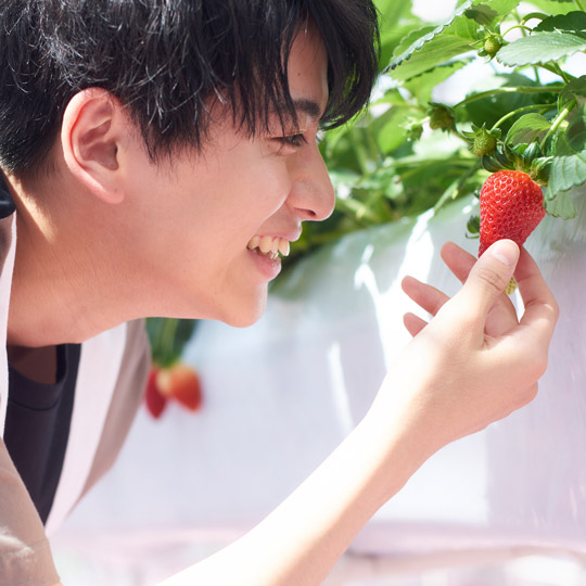東京ストロベリーパークでイチゴ狩り03