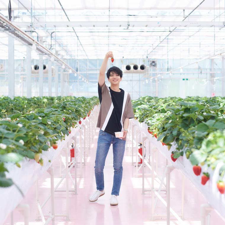 東京ストロベリーパークでイチゴ狩り04