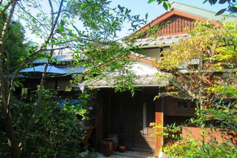 山菜 日和・お茶々