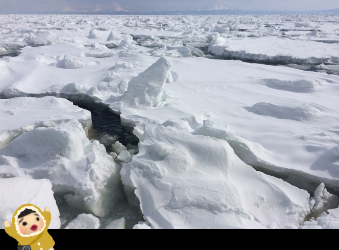 流氷がっつり