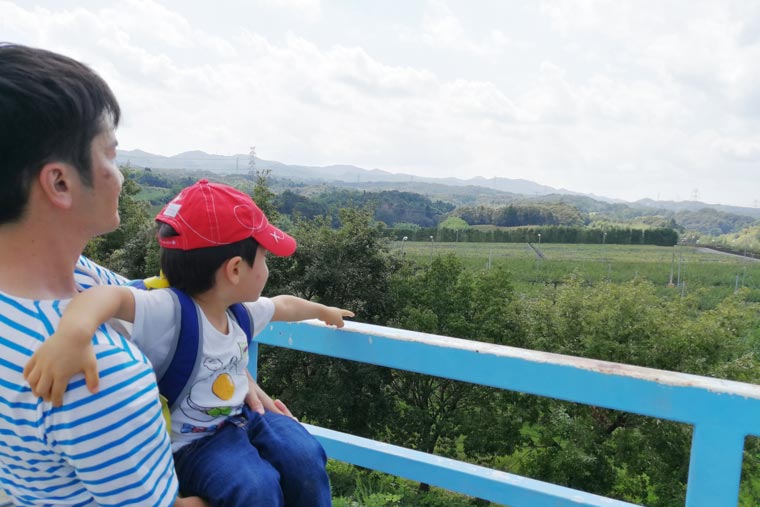 パーク内に広がる果物畑