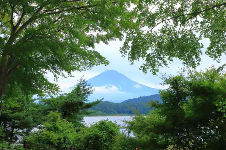 もみじトンネル