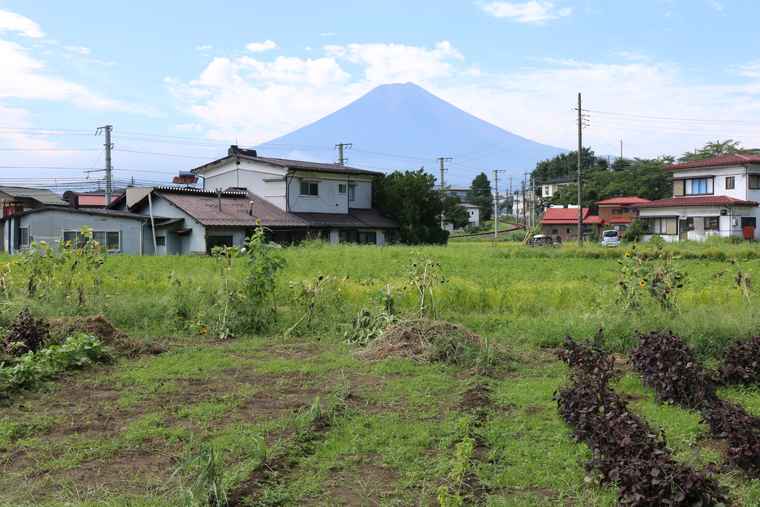 富士山を眺めながら