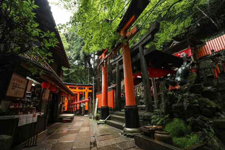 伏見稲荷大社 稲荷山 キツネ