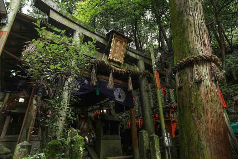 稲荷山の薬力社