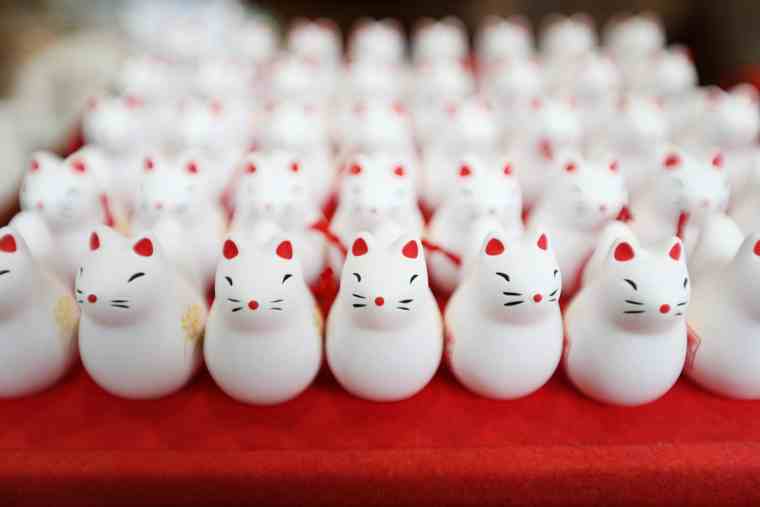 荒木神社のキツネのおみくじ