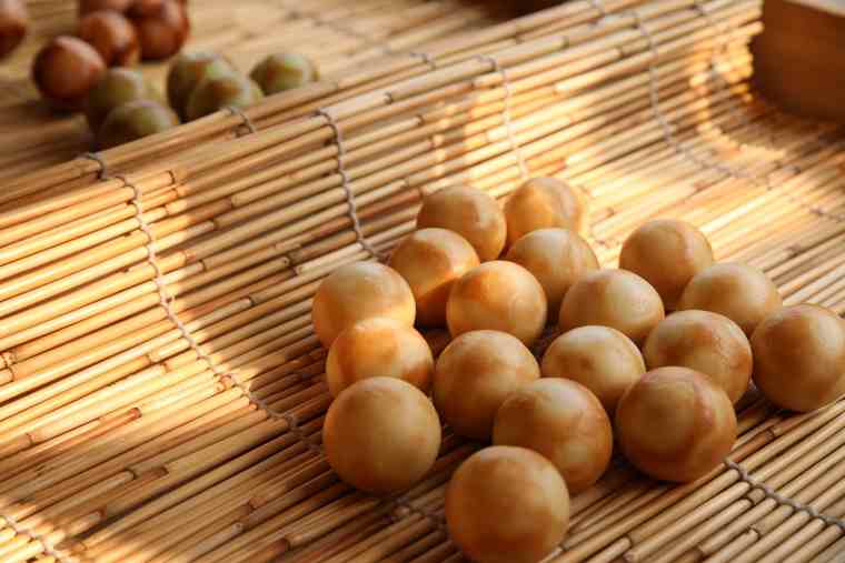 まるもち家の「まるもち」