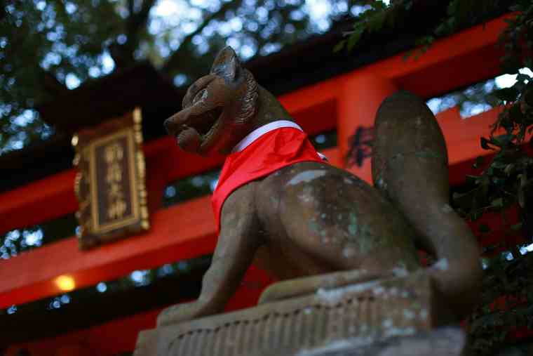 伏見稲荷大社の白狐