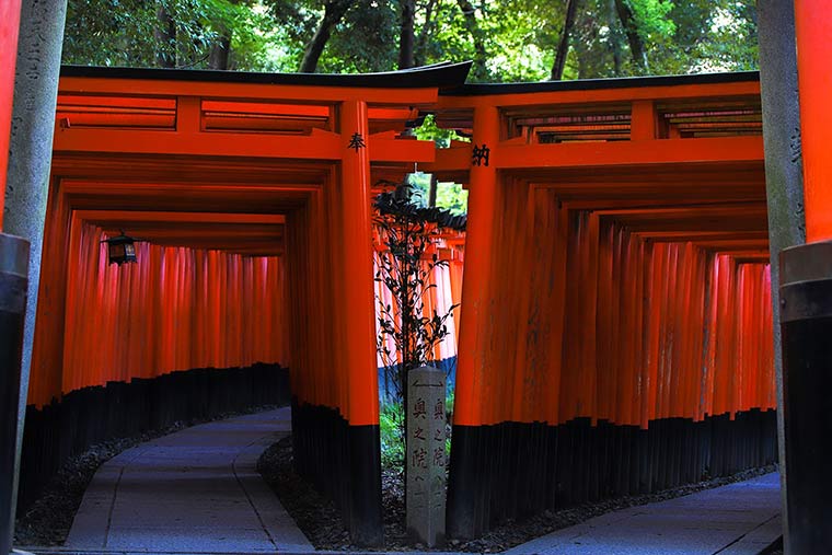 伏見稲荷大社の千本鳥居