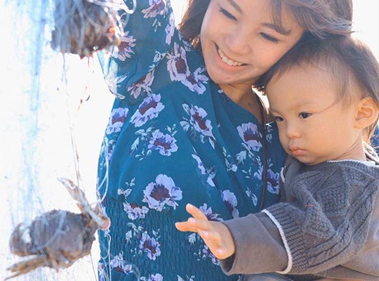 ＢＵＢ　ＲＥＳＯＲＴ