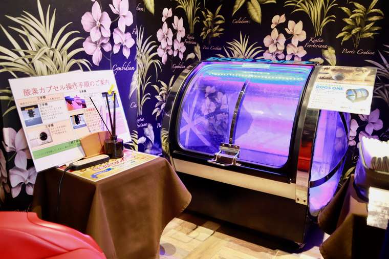 箱根強羅グアムドッグ本店 