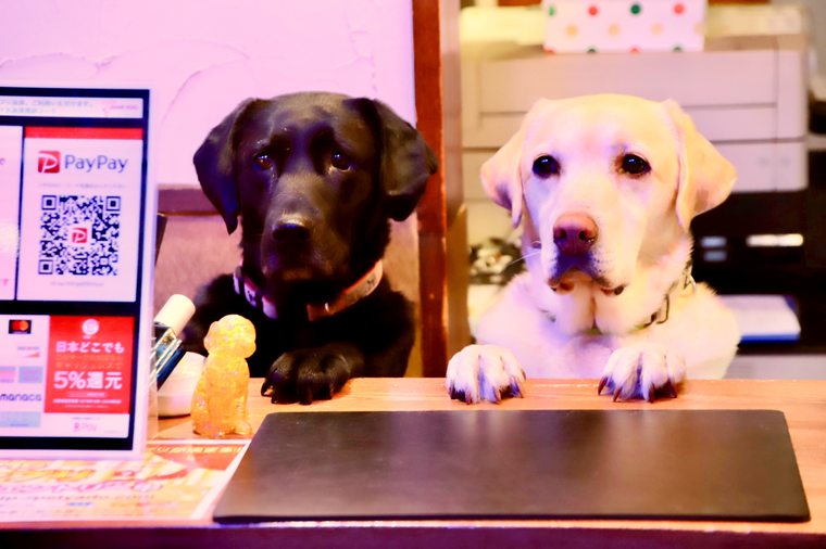 箱根強羅グアムドッグ本店 