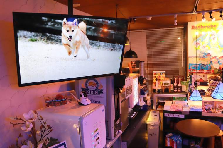 箱根グアムドック本店　ドッグコンシェルジュサービス