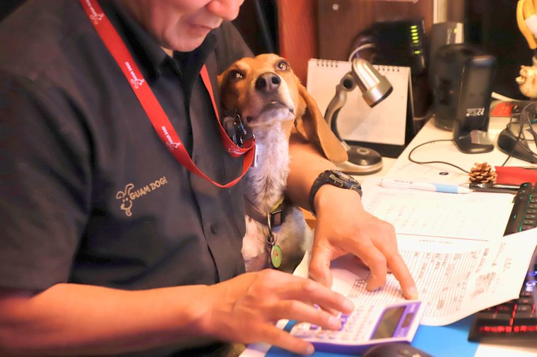 箱根グアムドック本店　ドッグコンシェルジュサービス