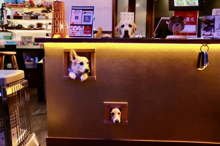 箱根強羅グアムドッグ本店 