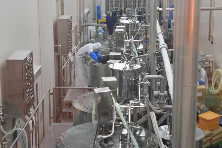 「こんにゃくパーク」でこんにゃく作りを見学