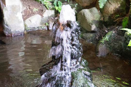 塔ノ沢 深沢銭洗弁天