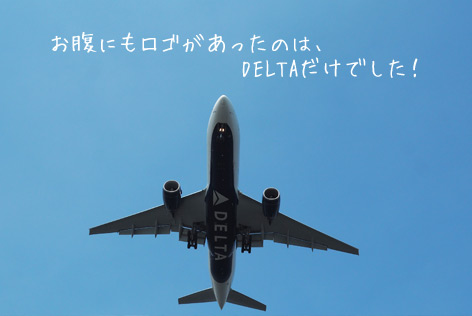 羽田空港クルーズ