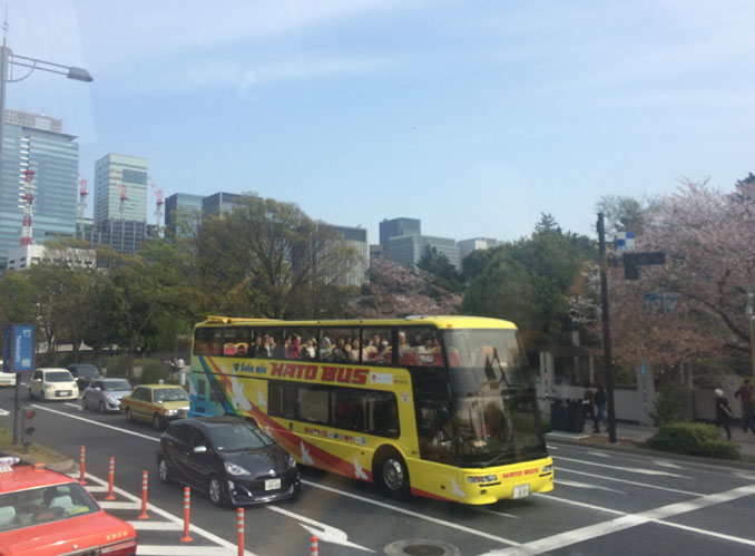 オーソラミオバス