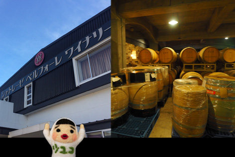 ワイナリー見学