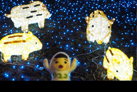 相模湖イルミリオン