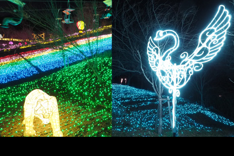 相模湖イルミリオン