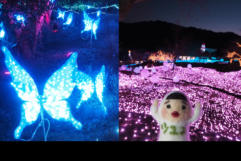 相模湖イルミリオン