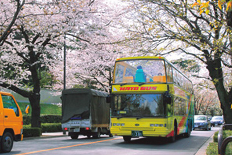 さくら回廊はとバス