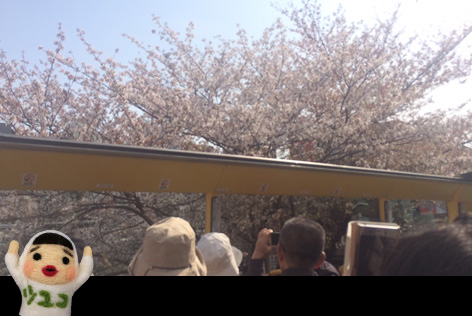 千鳥ヶ淵通過中